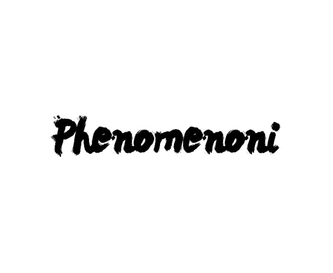 Official logo of phenomenoni.com.
